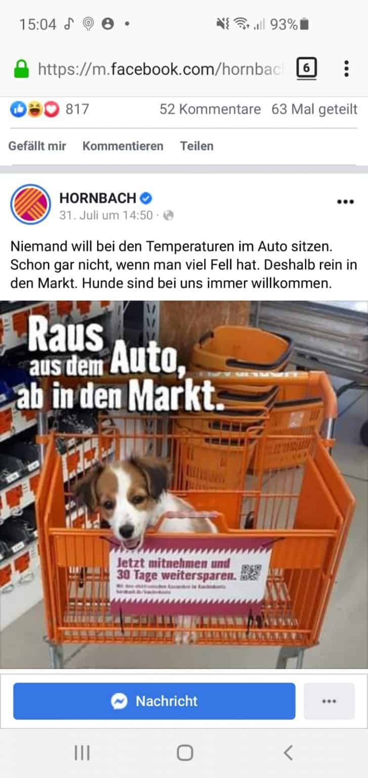 Bei Hornbach Alle Hunde erlaubt